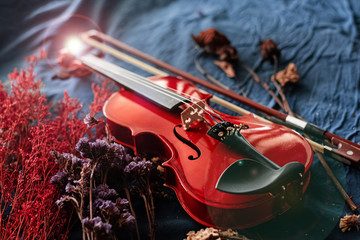 Violin and bow put beside dried flower on grunge surface background,vintage and art tone,classic style.,Lens flare effet,blurry light around