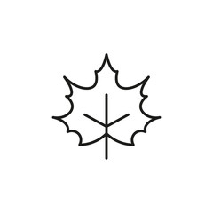Maple leaf icon vector on white background