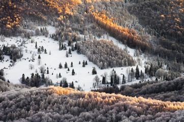 winter forest in the mountains © uranos1980