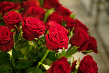 Beautiful red roses in a vase. Place for text