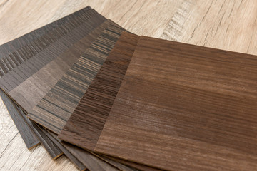 Sampler material texture sor furniture design interior. Floor catalog for decoration home. industry