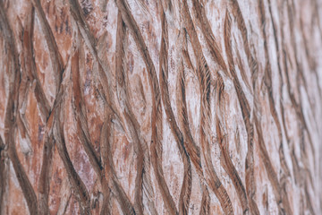 Stripes on a tree. Scratches on a wooden texture. Wood carving.
