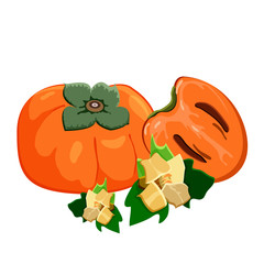 Set of persimmons fruit on white background. Ripe fresh juice persimmon, sliced fruit and persimmons flowers. Vector illustration.