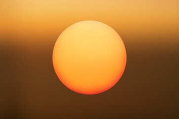 Abstract mystical background with unusual animals at sunset. Fantastic images and symbols.