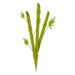 Green bamboo vector cartoon illustration isolated on a white background.