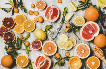 Ingredients for cooking Citrus cake. Flat-lay of fresh oranges, lemons, kumquats, grapefruits and blossom flowers over grey marble background, top view. Vegan, clean eating food concept
