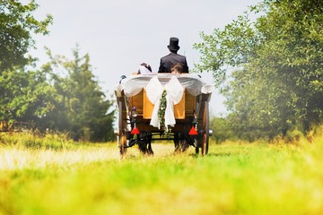 Horse carriage wedding in garden, Great Britain
Newly-wed couple in a black, horse-drawn, open...