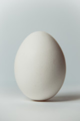 White egg with shadow on white background