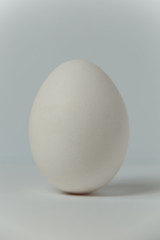 White egg with shadow on the white background