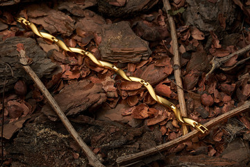 golden bracelet in the shape of a snake lies on the ground in the forest