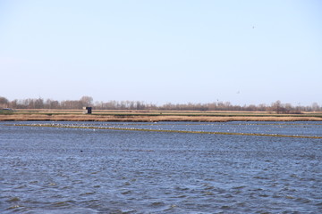 Wind runs over the water storage and rowing facility Eendragtspolder in Zevenhuizen in the Netherlands