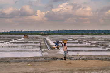 Men & Women busy in collecting salts from the salt basin in Marakanam, Tamilnadu, India.