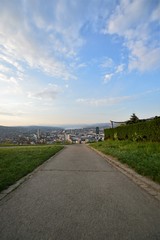 Fototapeta na wymiar Footpath in the Waid with a view of the city of Zurich Switzerland in the morning with the Alps in the background