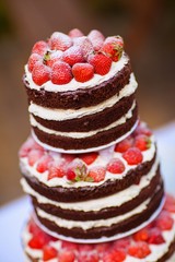 Decorated by fruits colorful naked cake, rustic style for weddings, birthdays and events.
Beautiful wedding cake, close up of cake and blur background, selective focus.