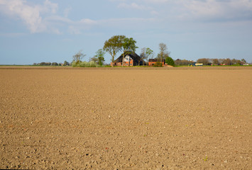 Groningen landscape