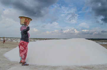 Men & Women busy in collecting salts from the salt basin in Marakanam, Tamilnadu, India.
