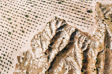 erosion has begun to fight.