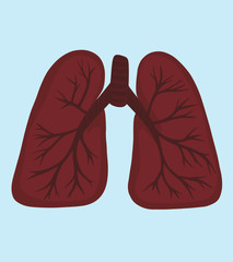 human lungs organ breathing illustration vector flat style biology medicine element poster banner