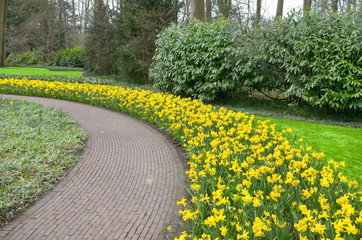 Beautiful colorful spring flowers in park in Netherlands (Holland)
