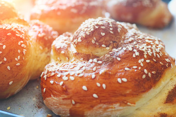 Fresh twisted buns with sesame seeds in the early morning. Morning sunshine