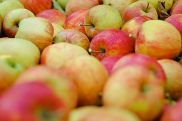 Closeup shot of fresh red and yellow apples