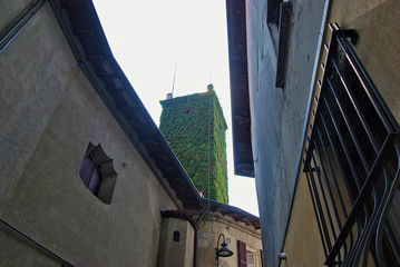 Torre completamente ricoperta di edera verde a Garbagnate Monastero in provincia di Lecco