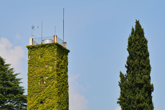 Torre completamente ricoperta di edera verde a Garbagnate Monastero in provincia di Lecco