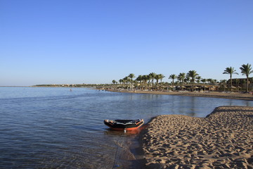 Piękna plaża wybrzeże morze czerwone Egipt - obrazy, fototapety, plakaty