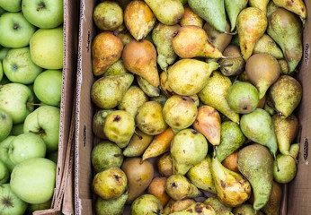 apples and pears in cardboard boxes