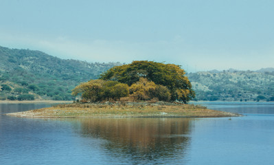 island