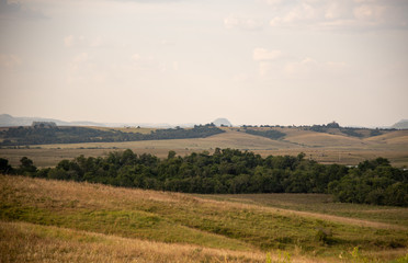 Fototapeta na wymiar Rural landscape in southern Brazil Pampa biome area and livestock fields