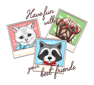 Vector illustration with photos of cartoon animals. Cat, pug dog and raccoon. Have fun with your friends colorful pictures background