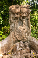 Fototapeta na wymiar Forest of Monkeys in the city of Ubud on the island of Bali, Indonesia