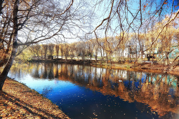 Fototapeta premium autumn landscape in the park / seasonal yellow landscape sunny park with fallen leaves