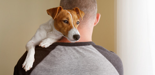 Back view of adult man holding & playing with cute one year old Jack Russel terrier puppy at home. Small adorable doggy with funny fur stains on the face. Close up, copy space, background. - Powered by Adobe