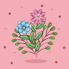 flowers with leaves over pink background design, natural floral nature plant ornament garden decoration and botany theme Vector illustration