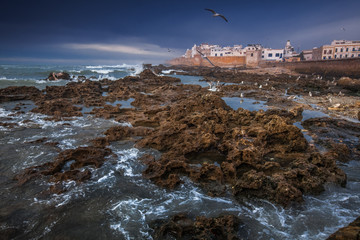 View of the city walls, Essaouira, Morocco. Copy space for text