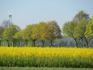 Windräder und mühlen im Münsterland