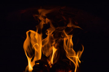 Fototapeta premium Burning wood in the furnace. Fiery tongues of flames