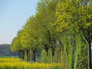 Windräder und mühlen im Münsterland