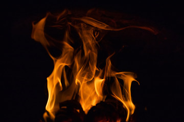 Burning wood in the furnace. Fiery tongues of flames