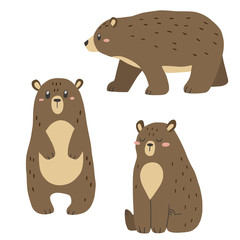 Set of hand drawn bears. Vector illustration.