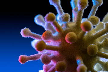symbolic virus closeup