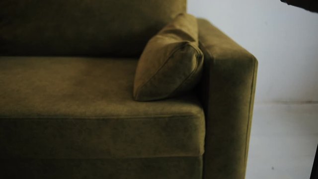 A beautiful little dog lies on the sofa in the flat and then jumps to the floor and runs away. Close-up