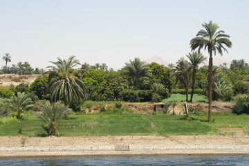 Nile and views of the River