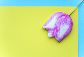 Fototapeta premium Spring cookie in form of pink tulip on yellow and blue geometric background. Beautiful background for spring holidays.
