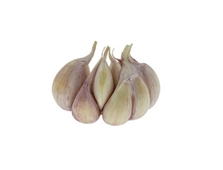 Czosnek na białym tle