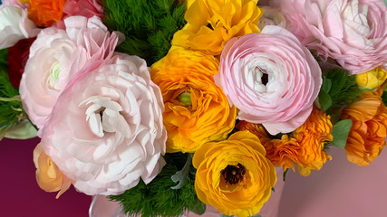 Flat view bright colorful pink yellow orange persian asian buttercup ranunculus asiaticus flowers in round box