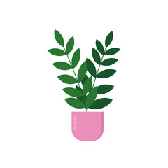 ficus in a pot in a flat style. vector graphic. for design icon, card, poster. houseplant, home garden