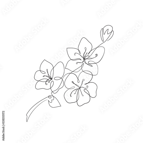 Hand Drawn Cherry Blossom Sakura Branch With Flower Line Art Blooming Apple Tree Vector Illustration Wall Mural Colorvalley Hand Drawn Cherry Blossom Sakura Branch With Flower Line Art Blooming Apple Tree Vector Illustration Wall Mural Colorvalley